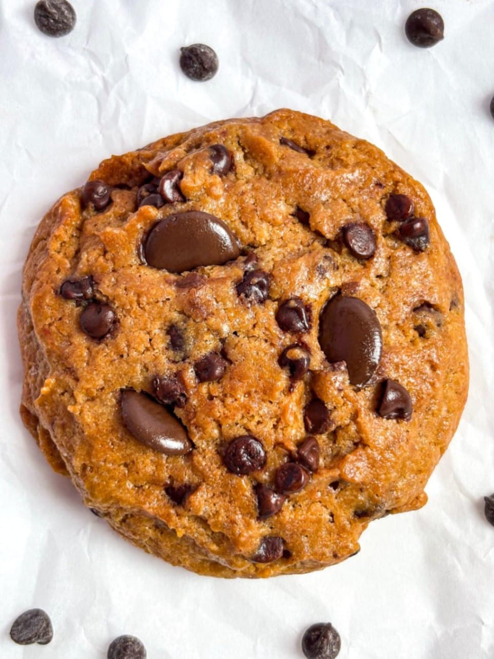 Chocolate chip